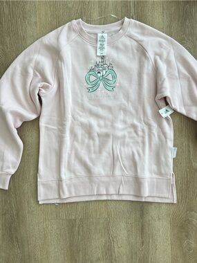 Disney Parks Castle sweatshirt